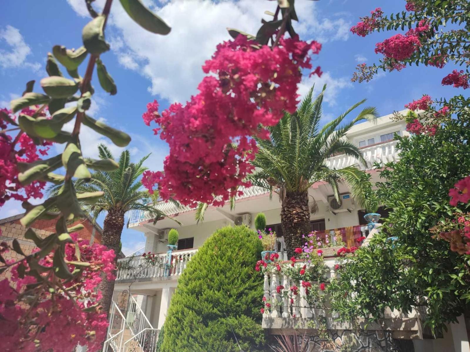 Apartments Radonjic Budua Esterno foto