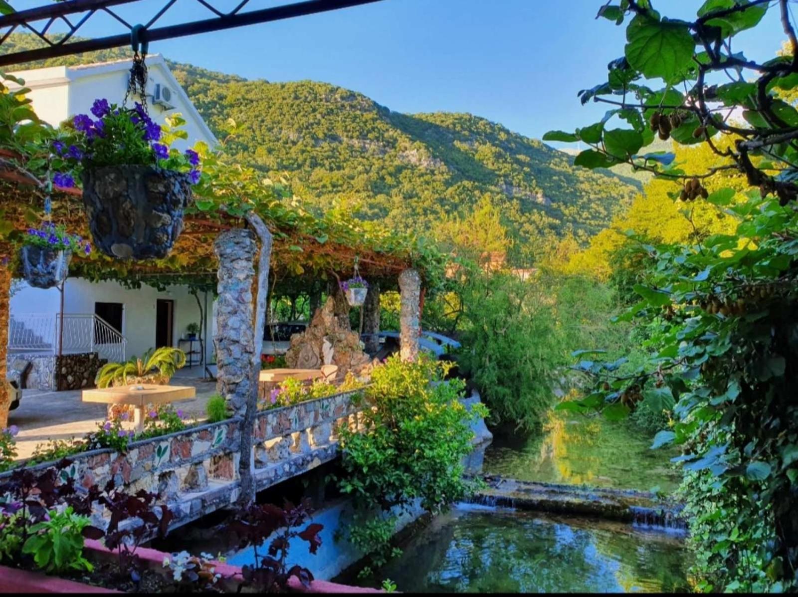 Apartments Radonjic Budua Esterno foto