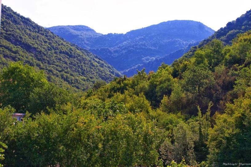 Apartments Radonjic Budua Esterno foto